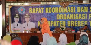 Anggota KPAI, Maria Ulfah : Jangan Sampai Terjadi Perkawinan Anak