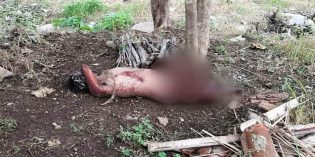 Di Tonjong, Mayat Pria Tanpa Busana Ditemukan di Persawahan