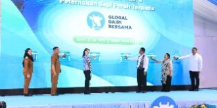 Peternakan Sapi Perah Terbesar Dibangun di Desa Karangbale Larangan