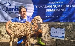Semangat Berbagi di Iduladha, BRI BO Brebes Salurkan Qurban Kambing