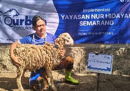 Semangat Berbagi di Iduladha, BRI BO Brebes Salurkan Qurban Kambing