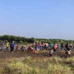 Cegah Abras, 3.700 Mangrove Ditanam di Randusanga Kulon