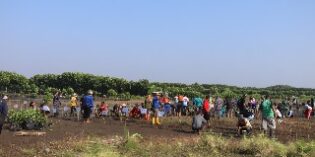 Cegah Abras, 3.700 Mangrove Ditanam di Randusanga Kulon