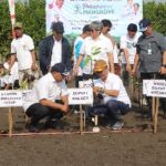 Pulihkan Pesisir dan Cegah Abrasi, Menteri LH Tanam Mangroove di Brebes