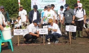 Pulihkan Pesisir dan Cegah Abrasi, Menteri LH Tanam Mangroove di Brebes