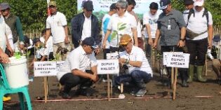 Pulihkan Pesisir dan Cegah Abrasi, Menteri LH Tanam Mangroove di Brebes