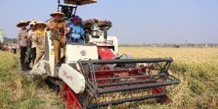 Lewat Program ‘ ICARE ‘ Petani Losari Menuju Pertanian Modern dan Berdaya Saing